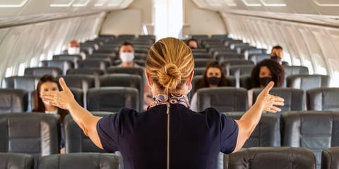 flight-attendant